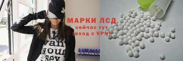 сатива Алзамай