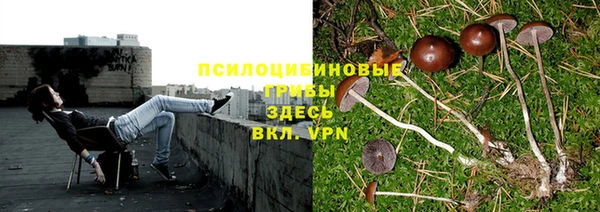 синтетический гашиш Алексин